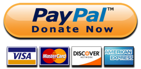 2015 paypal donate button v2